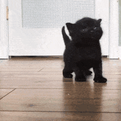 Reseña: Salvación - Eva M. Soler e Idoia Amo