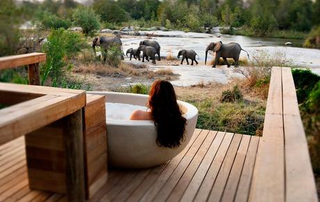 Vista de elefantes desde el hotel en Sudafrica