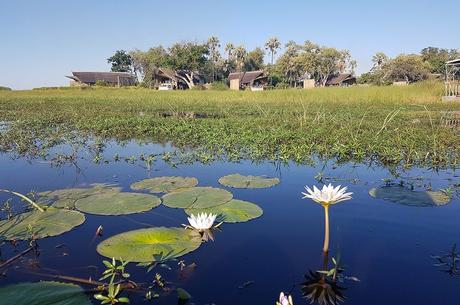 Safari  de Lujo en Botswana