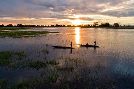 Safari lujo en komoros en delta Okavango