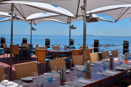 Mi reciente Gran Viaje a Sudáfrica & Botswana Terraza de Camps Bay Tobagos Bar