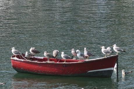 Caminamos sobre las aguas en Lekeitio