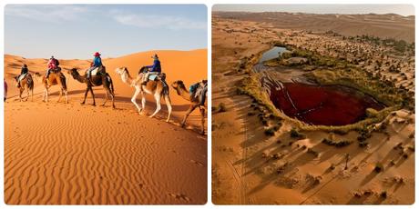 Qué hacer en Marrakech en 2 ó 3 días