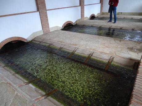 Los Algodonales, el secreto del viento, el agua y la cuerda.