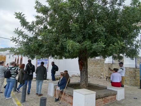 Los Algodonales, el secreto del viento, el agua y la cuerda.