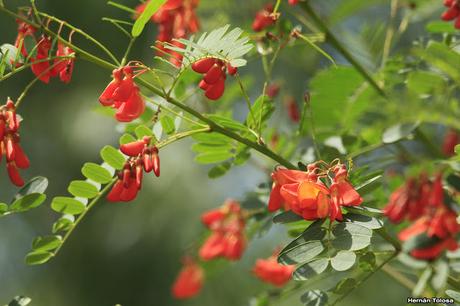 Salida realizada al sur de Entre Ríos (24-25 de noviembre)