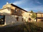 Training course France “BLOSSOM”