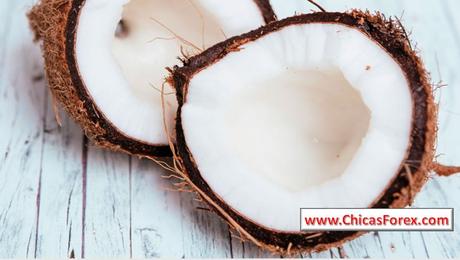 Información, Propiedades y Usos Del Coco el coco y sus propiedades, propiedades del coco, el coco fruta, caracteristicas del coco, coco rallado, propiedades curativas del coco, cascara de coco usos, informacion coco