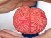 Gerencia Neurociencia