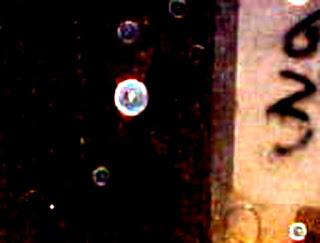 Neo-oscurantismo y pseudo-ciencia: Veneno para la mente Neo-oscurantismo y pseudo-ciencia: Veneno para la mente