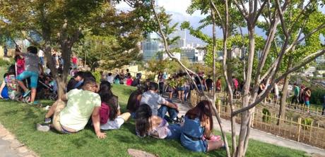 Recién inaugurado Jardín Japonés sufre daños en sus primeros días abierto al público