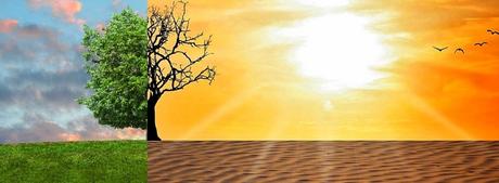 La Gran Muralla Verde