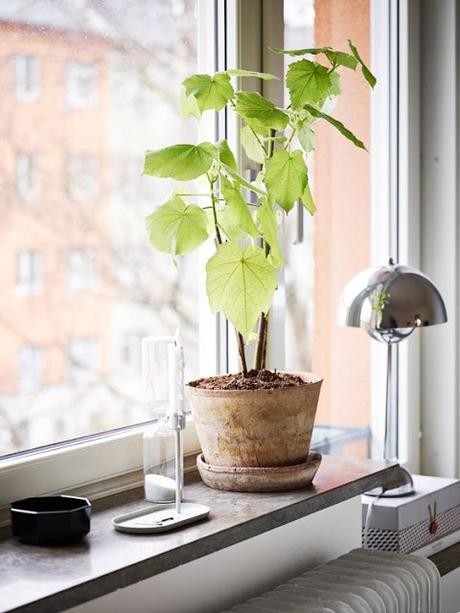 Diez propósitos Feng Shui para una vida feliz Diez propósitos Feng Shui para una vida feliz