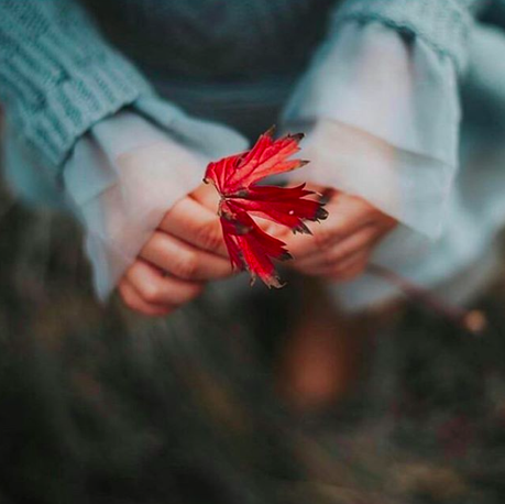 Diez propósitos Feng Shui para una vida feliz Diez propósitos Feng Shui para una vida feliz