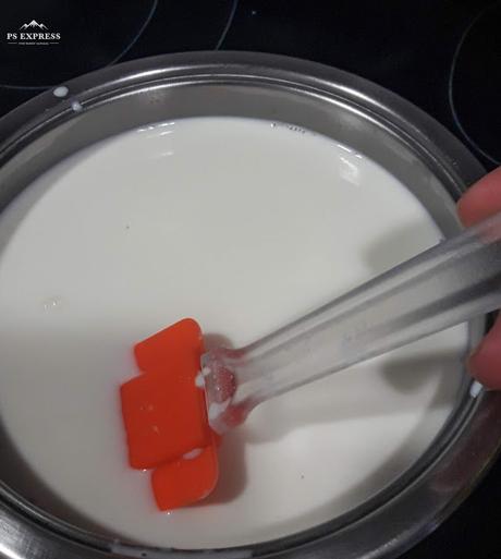 YOGURT CASERO SIN  YOGURTERA