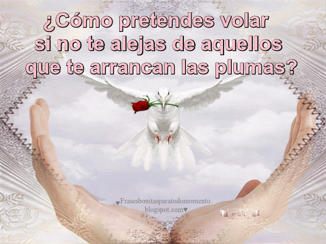  Frases de Inspiración y motivación,