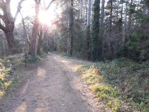 Arboretum Masjoan (Espinelves)