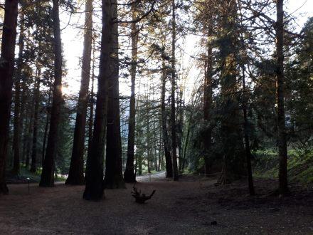 Arboretum Masjoan (Espinelves)