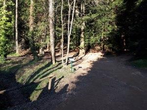 Arboretum Masjoan (Espinelves)