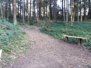 Arboretum Masjoan (Espinelves)