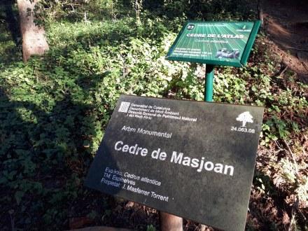 Arboretum Masjoan (Espinelves)