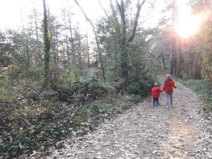 Arboretum Masjoan (Espinelves)