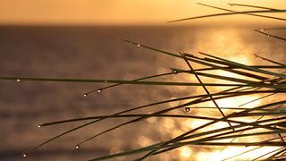 La foto de Rub La foto de Rub