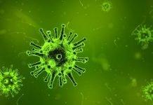 Una infección viral puede ser la causa de hasta el 20 por ciento de los casos de cáncer