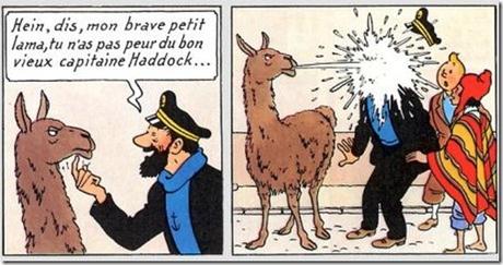 TINTÍN, EL HÉROE PERFECTO CUMPLE 90 AÑOS En una de sus aventuras le llaman “Corazón puro”, apelativo que no puede ser más acertado, pues Tintín es el héroe perfecto. Es valiente y siempre dispuesto a la aventura, inteligente e intuitivo, bienintencion... TINTÍN, EL HÉROE PERFECTO CUMPLE 90 AÑOS En una de sus aventuras le llaman “Corazón puro”, apelativo que no puede ser más acertado, pues Tintín es el héroe perfecto. Es valiente y siempre dispuesto a la aventura, inteligente e intuitivo, bienintencion...