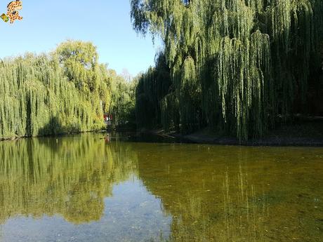 Varsovia en un día: qué ver y qué hacer Varsovia en un día: qué ver y qué hacer