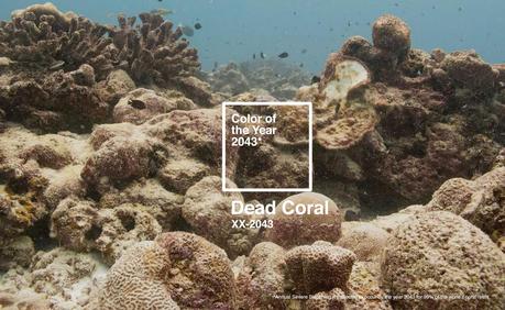 Esta campaña dice que el color del año 2043 será el PANTONE ‘Dead Coral’