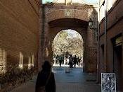 Ruta Beatricia Alcalá: