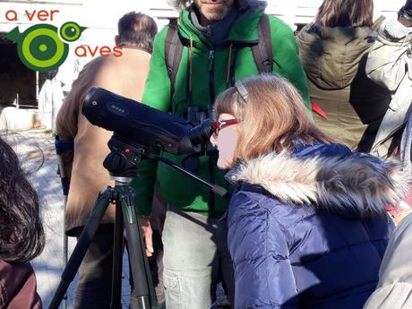 No sabía que estaban ahí