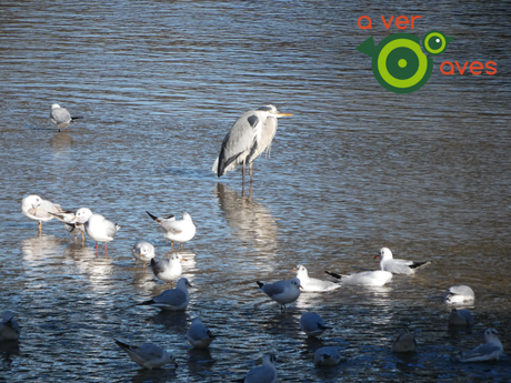 No sabía que estaban ahí