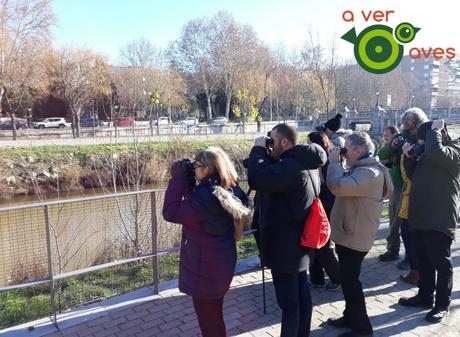 No sabía que estaban ahí