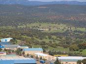 creación empresas crece 2,8% noviembre