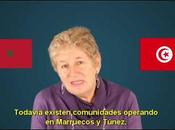 éxodo contado” judíos tierras árabes