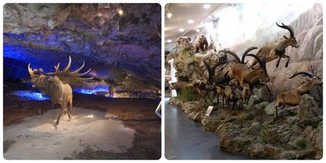Qué ver y visitar en Cangas de Onís Qué ver y visitar en Cangas de Onís