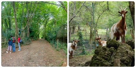 Qué ver y visitar en Cangas de Onís