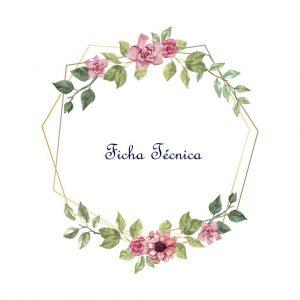 Venom Comentario Sobre La Pelicula