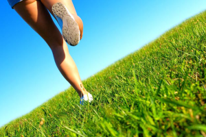 Jalea Real Y Enfermedades Cardiovasculares