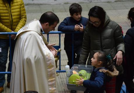 Mascotas y alumnos de San Ignacio celebraron la festividad de San Antón