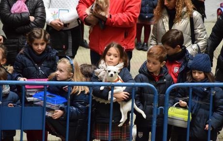 Mascotas y alumnos de San Ignacio celebraron la festividad de San Antón