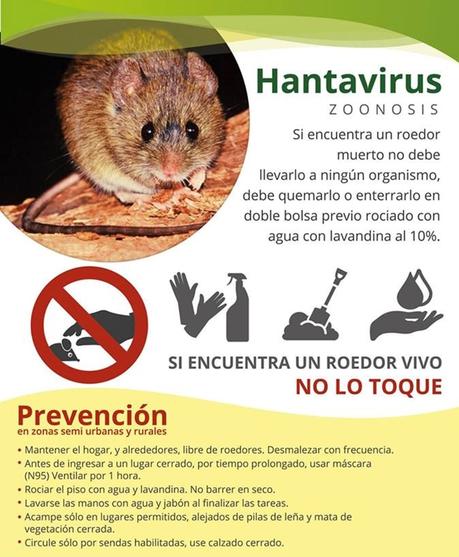 Nuevas emergencias con los malditos virus