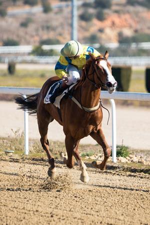 GHA BATE RÉCORD DE INSCRITOS Y CELEBRARÁ 6 CARRERAS ESTE DOMINGO