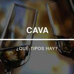 Las uvas: ¿qué partes tienen?