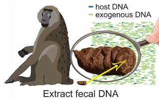 La historia de Trump en un bolo fecal