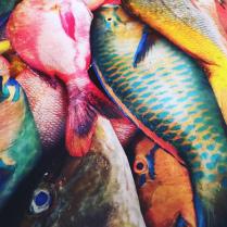 Sabores Ancestrales – Historia de La Cocina Dominicana