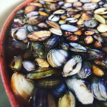 Sabores Ancestrales – Historia de La Cocina Dominicana