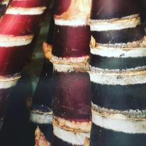 Sabores Ancestrales – Historia de La Cocina Dominicana